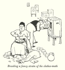 Zucht einer besonderen Sorte der Kleidermotte (Litho) von William Heath Robinson