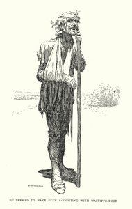 Er schien mit Mastiff-Hunden gekämpft zu haben von William Heath Robinson