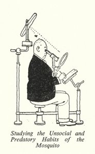 Studium der unsozialen und räuberischen Gewohnheiten der Mücke (Lithografie) von William Heath Robinson