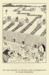 Die neue Methode zur Prüfung der Duftunterscheidung bei jungen Foxhounds von William Heath Robinson
