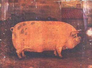 Das Preisschwein Jumbo II von William Henderson