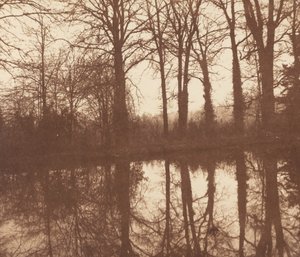 Winterbäume, reflektiert in einem Teich von William Henry Fox Talbot
