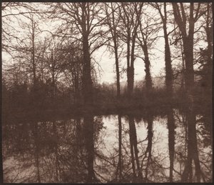 Winterbäume, die sich in einem Teich spiegeln, 1841-42 von William Henry Fox Talbot
