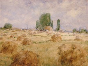 Weizenfeld