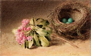 Vogelnest mit Blüten