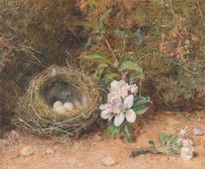 Vogelnest mit Apfelblütenzweigen