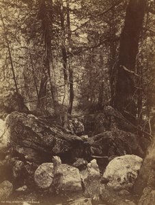 Der Pfad im West Gallatin Canyon, ca. 1870er Jahre von William Henry Jackson