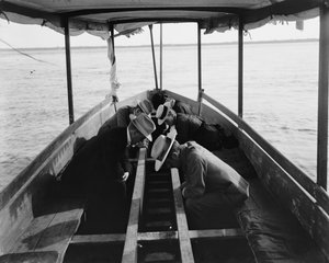 Betrachten der Meeresgärten durch den Boden des Bootes, Nassau, Bahamas, 1900 von William Henry Jackson