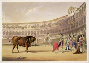 Der Matador, 1865 von William Henry Lake Price