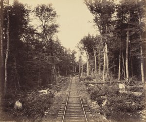 Ganoga-See-Zweig, ca. 1895 von William Herman Rau