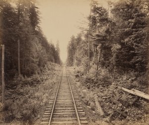 Hemlock-Wald, um 1895 von William Herman Rau