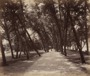 Picknickplätze, ca. 1895 von William Herman Rau