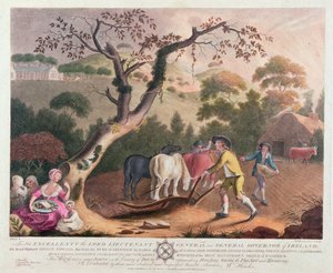 Ansicht des Pflügens, Aussäens von Flachs und Eggen, 1791