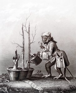 Schwanzstück zum Katalog des Künstlers