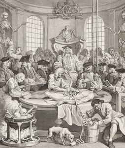 Der Lohn der Grausamkeit. Aus: Die vier Stufen der Grausamkeit