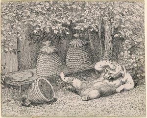 Bär von Bienen gestochen