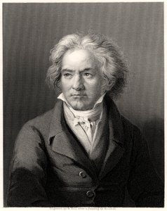 Beethoven, 19. Jahrhundert