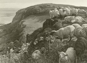 Am Hang von William Holman Hunt