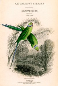 Die Bibliothek der Naturforscher, Ornithologie Band VIII, Rotring-Sittich, um 1833-1865 von William Home Lizars
