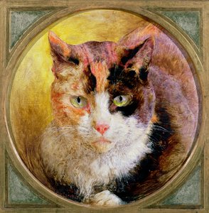Ein Kopfstudie einer Schildpattkatze, 1866 von William Huggins
