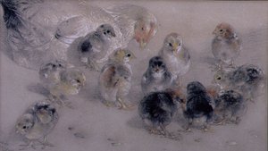 Studie von Hühnern