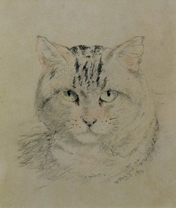 Getigerte Katze, 1874 von William Huggins