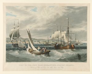Ansicht der Quarantäne von New York, Staten Island von William James Bennett
