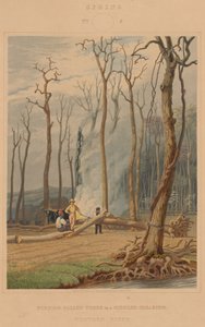 Frühling--Brennende gefällte Bäume in einer gerodeten Lichtung. Westliche Szene von William James Bennett after George Harvey