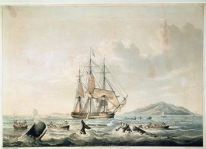 Südsee-Walfischerei, graviert von T. Sutherland von William John (after) Huggins