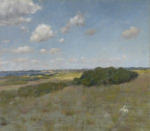Sonnenlicht und Schatten, Shinnecock Hills von William Merritt Chase