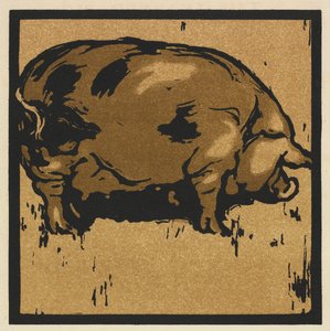 Das quadratische Buch der Tiere: Das gelehrte Schwein von William Nicholson