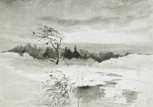 Landschaft mit Wasser und windgepeitschtem Baum