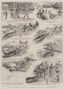 Ein Tag Krokodilfischen, die erste und einzige Erfahrung eines Shikari