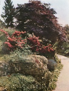 Teil des Steingartens in Brockhurst, East Grinstead von William Ransford