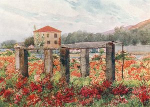 Ein Rosengarten, Bordighera von William Scott