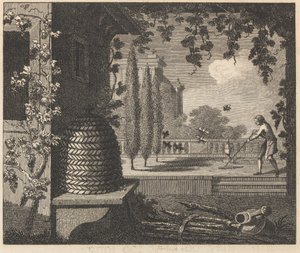 Die degenerierten Bienen