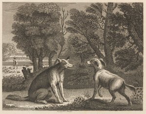 Der Hirtenhund und der Wolf