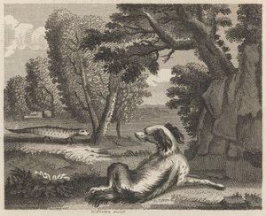 Der Spaniel und das Chamäleon von William Skelton