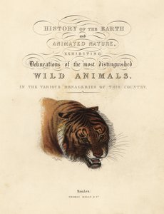 Kalligrafische Titelseite mit Vignette eines Tigers von William Smellie