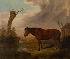 Ein braunes Pony an einem Fluss von William Smith