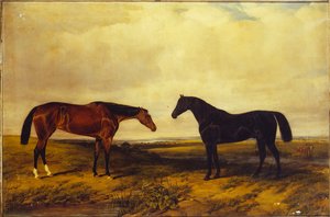 Die hellbraune Stute und der dunkelbraune Hengst des Earl of Granard, 1885 von William Snr. Luker