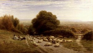 Die Sonnenseite des Hirtenlebens - In der Nähe von Eastbourne