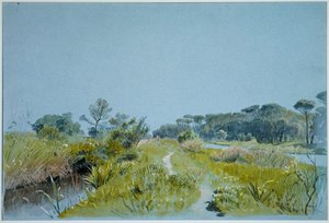 Castel Fusano - nahe Rom von William Stanley Haseltine