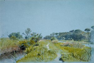 Castel Fusano bei Rom, ca. 1885