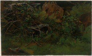 Naturstudie von William Stanley Haseltine