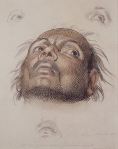Studie eines Kopfes eines Ostinders, ca. 1875 (Kreide und Waschung auf Papier)