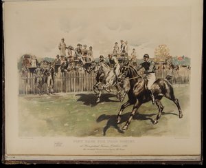 Ponyrennen für Poloponys