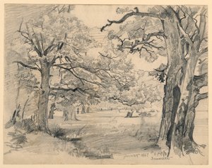 Landschaft, Darmstadt