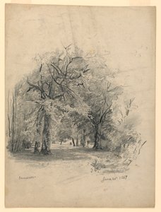 Landschaft, Darmstadt, Deutschland