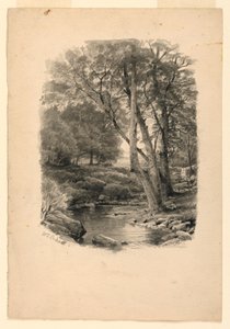 Teich im Wald